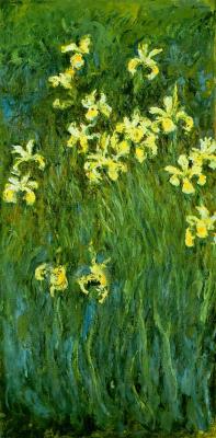 Yellow irises by monet
